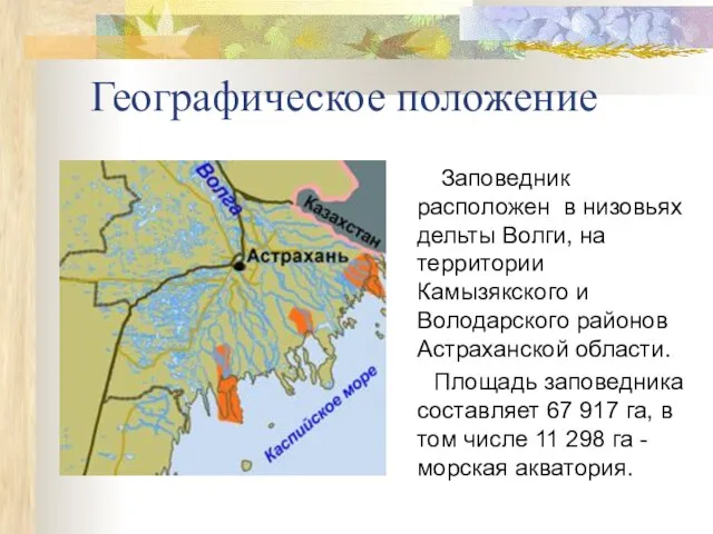 Географическое положение Заповедник расположен в низовьях дельты Волги, на территории Камызякского