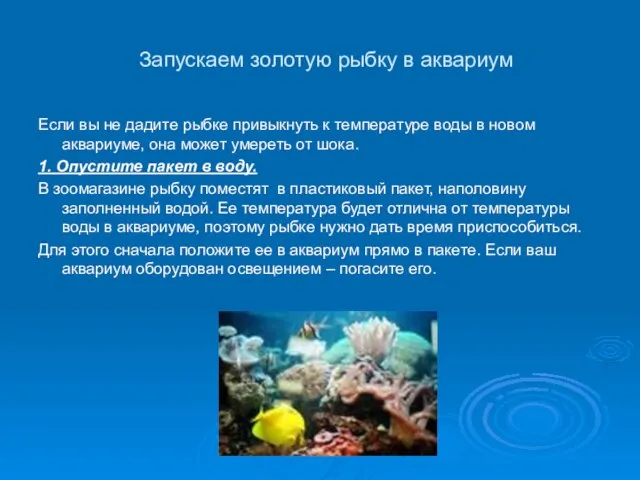 Запускаем золотую рыбку в аквариум Если вы не дадите рыбке привыкнуть