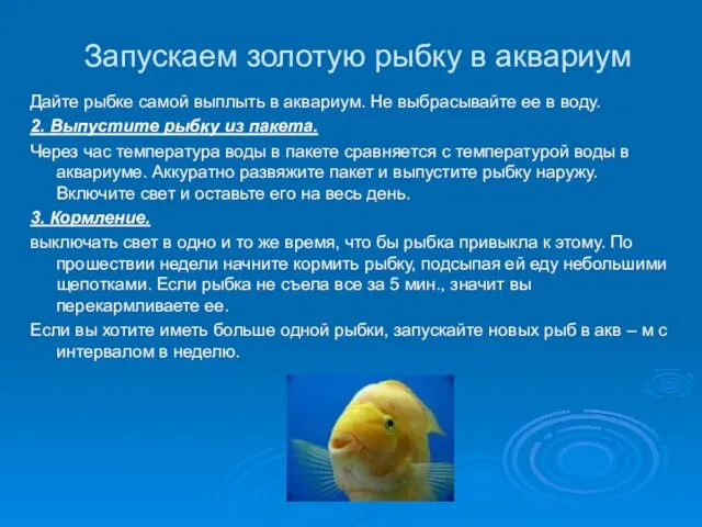 Запускаем золотую рыбку в аквариум Дайте рыбке самой выплыть в аквариум.