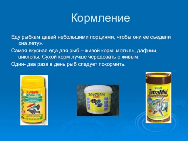 Кормление Еду рыбкам давай небольшими порциями, чтобы они ее съедали «на