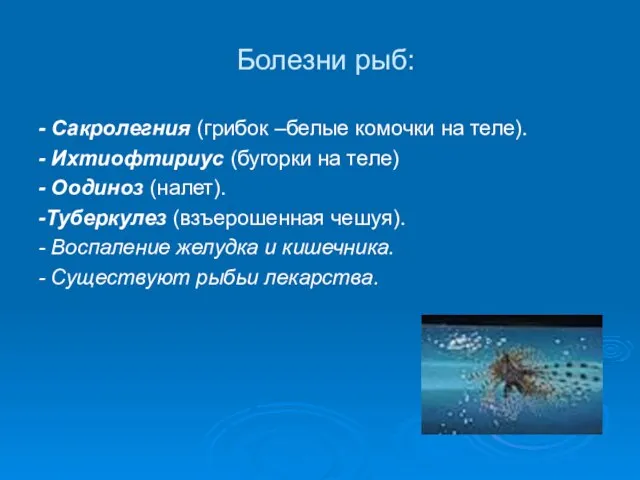 Болезни рыб: - Сакролегния (грибок –белые комочки на теле). - Ихтиофтириус