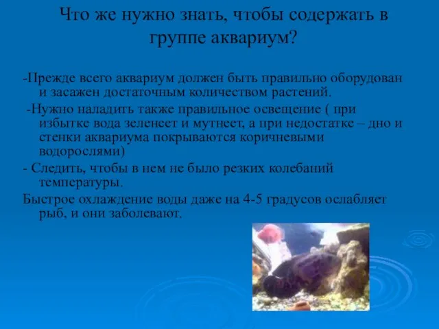 Что же нужно знать, чтобы содержать в группе аквариум? -Прежде всего