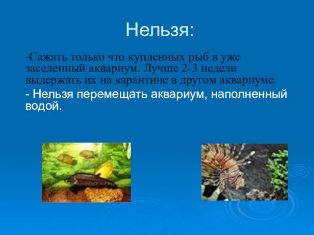 Нельзя: -Сажать только что купленных рыб в уже заселенный аквариум. Лучше