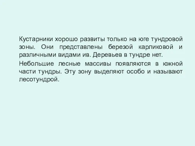 Кустарники хорошо развиты только на юге тундровой зоны. Они представлены березой