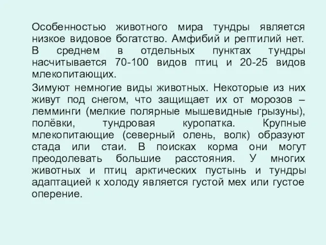 Особенностью животного мира тундры является низкое видовое богатство. Амфибий и рептилий