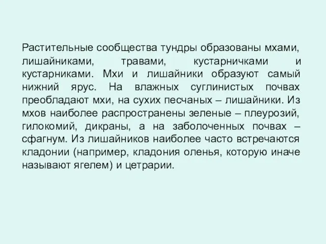 Растительные сообщества тундры образованы мхами, лишайниками, травами, кустарничками и кустарниками. Мхи