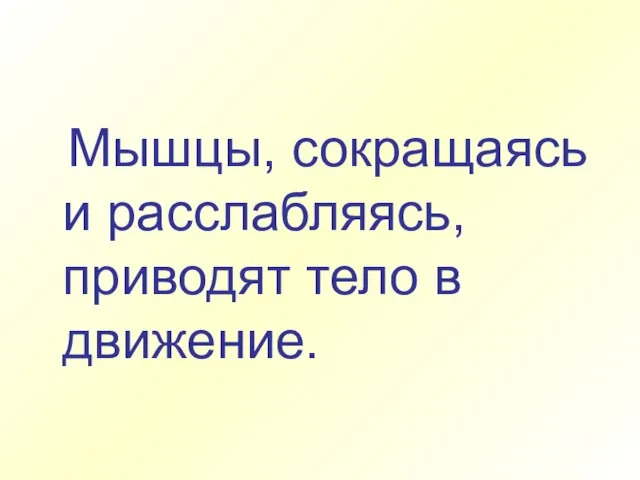 Мышцы, сокращаясь и расслабляясь, приводят тело в движение.