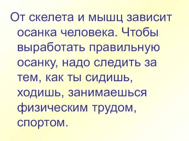 От скелета и мышц зависит осанка человека. Чтобы выработать правильную осанку,