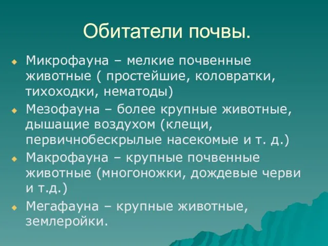 Обитатели почвы. Микрофауна – мелкие почвенные животные ( простейшие, коловратки, тихоходки,