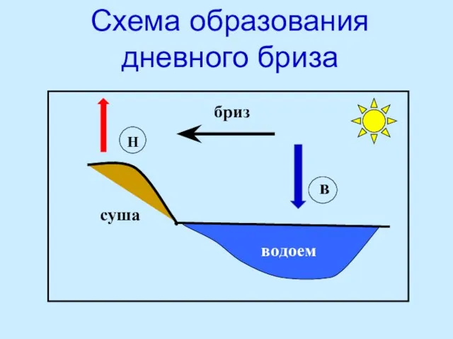 Схема образования дневного бриза суша водоем Н в бриз