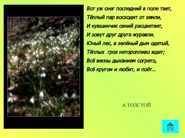 Вот уж снег последний в поле тает, Тёплый пар восходит от