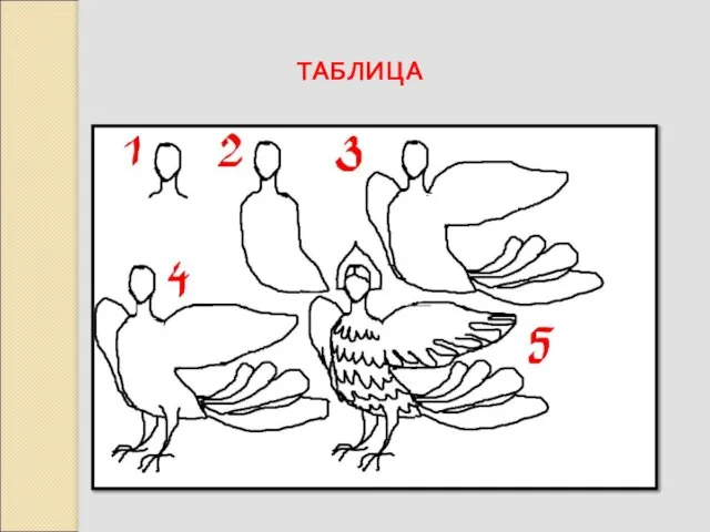 ТАБЛИЦА Один из вариантов поэтапного изображения птицы – девы.