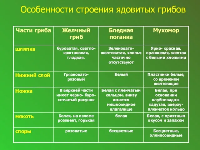 Особенности строения ядовитых грибов