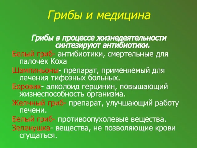 Грибы и медицина Грибы в процессе жизнедеятельности синтезируют антибиотики. Белый гриб-