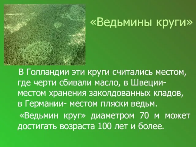 «Ведьмины круги» В Голландии эти круги считались местом, где черти сбивали