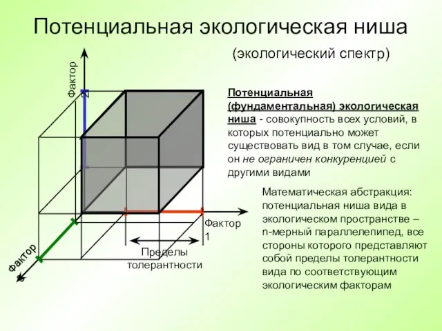 Потенциальная экологическая ниша Фактор 1 Фактор 2 Фактор 3 Потенциальная (фундаментальная)