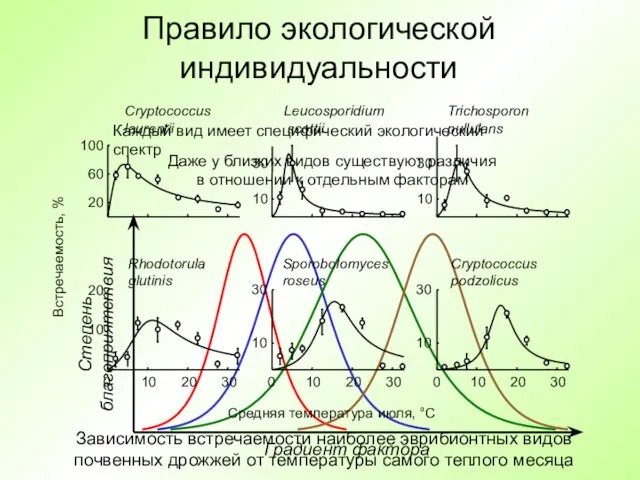 Правило экологической индивидуальности Каждый вид имеет специфический экологический спектр Даже у