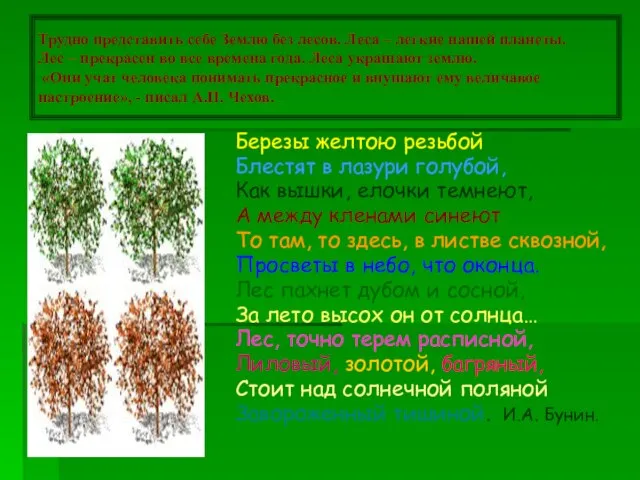 Трудно представить себе Землю без лесов. Леса – легкие нашей планеты.