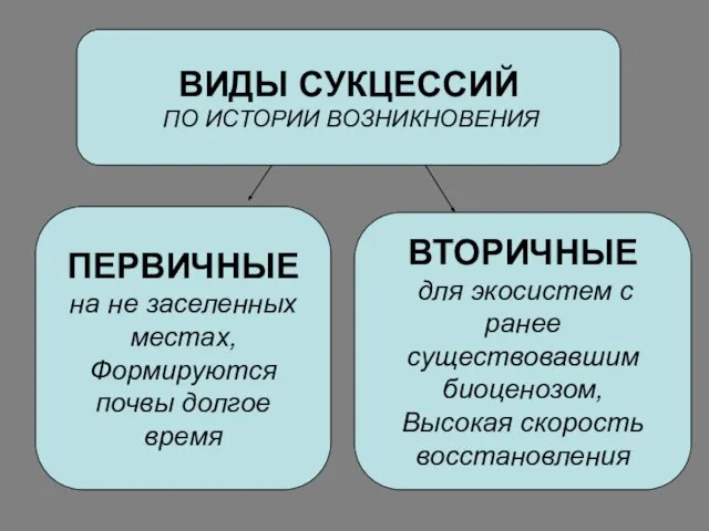 ВИДЫ СУКЦЕССИЙ ПО ИСТОРИИ ВОЗНИКНОВЕНИЯ ПЕРВИЧНЫЕ на не заселенных местах, Формируются