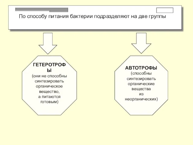 По способу питания бактерии подразделяют на две группы ГЕТЕРОТРОФЫ (они не