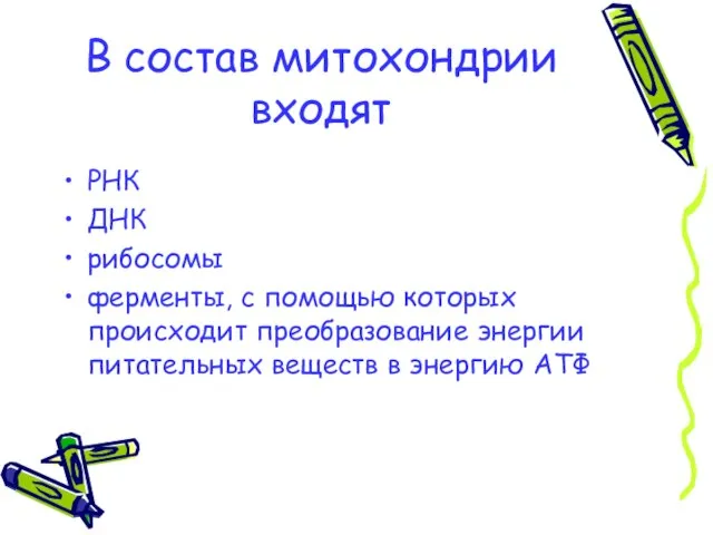 В состав митохондрии входят РНК ДНК рибосомы ферменты, с помощью которых