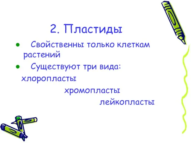 2. Пластиды Свойственны только клеткам растений Существуют три вида: хлоропласты хромопласты лейкопласты