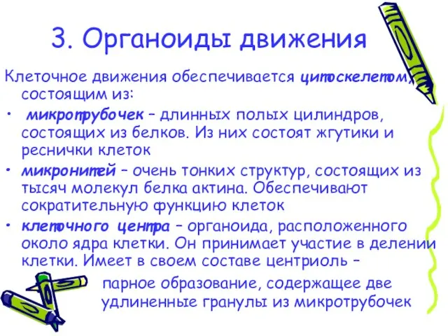 3. Органоиды движения Клеточное движения обеспечивается цитоскелетом, состоящим из: микротрубочек –