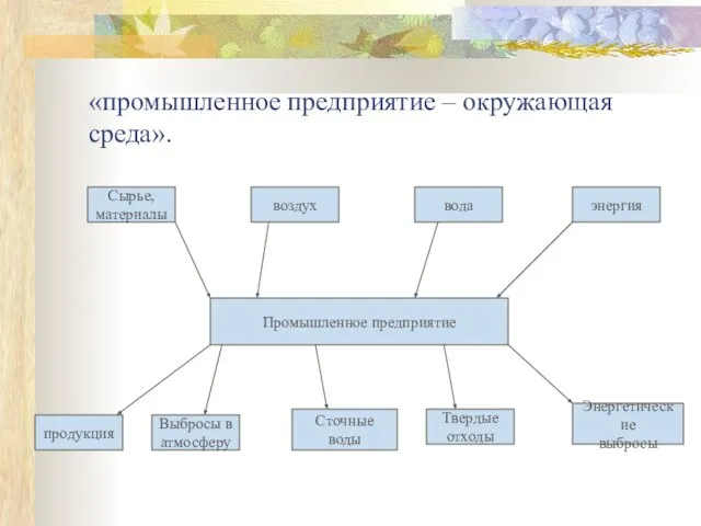 «промышленное предприятие – окружающая среда».