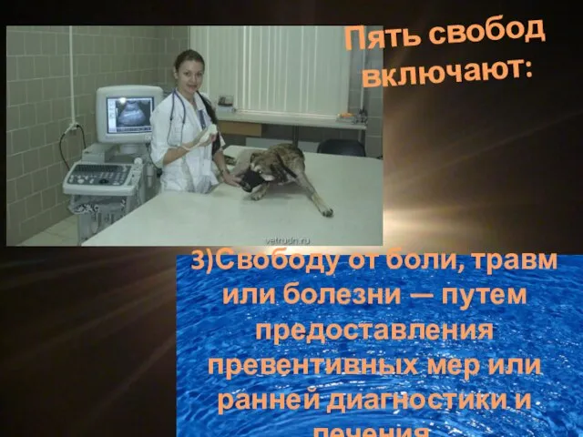 3)Свободу от боли, травм или болезни — путем предоставления превентивных мер