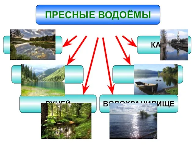 ПРЕСНЫЕ ВОДОЁМЫ РЕКА ОЗЕРО РУЧЕЙ КАНАЛ ПРУД ВОДОХРАНИЛИЩЕ