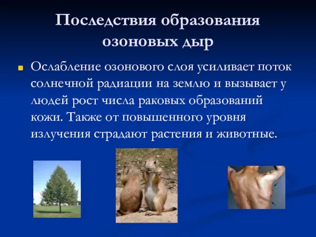 Последствия образования озоновых дыр Ослабление озонового слоя усиливает поток солнечной радиации