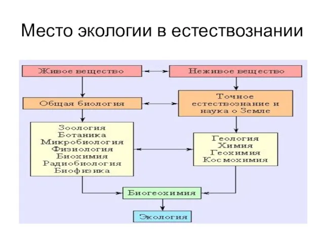 Место экологии в естествознании