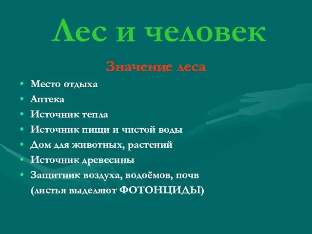 Лес и человек Значение леса Место отдыха Аптека Источник тепла Источник