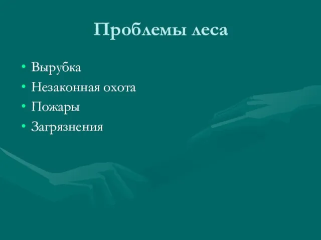 Проблемы леса Вырубка Незаконная охота Пожары Загрязнения