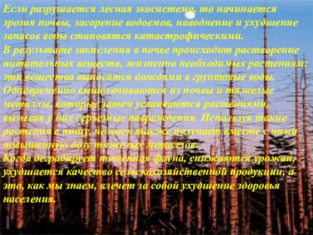 Если разрушается лесная экосистема, то начинается эрозия почвы, засорение водоемов, наводнение