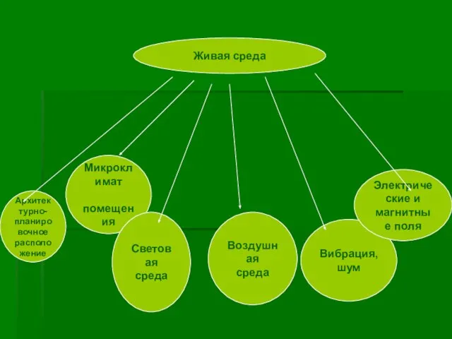 Живая среда Архитектурно- планировочное расположение Микроклимат помещения Световая среда Воздушная среда