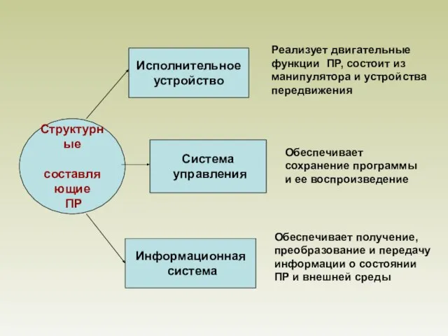 Структурные составляющие ПР Исполнительное устройство Система управления Информационная система Реализует двигательные