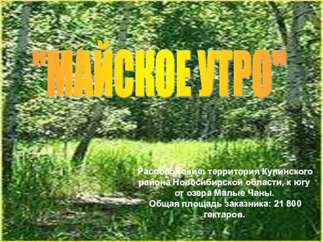 Расположение: территория Купинского района Новосибирской области, к югу от озера Малые