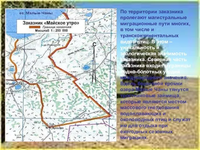 По территории заказника пролегают магистральные миграционные пути многих, в том числе