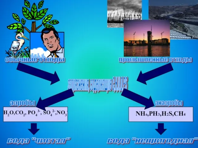 обычные отходы промышленные отходы загрязнения, содержащие C,H,N,O,P,S аэробы анаэробы H2O,CO2, PO43-,