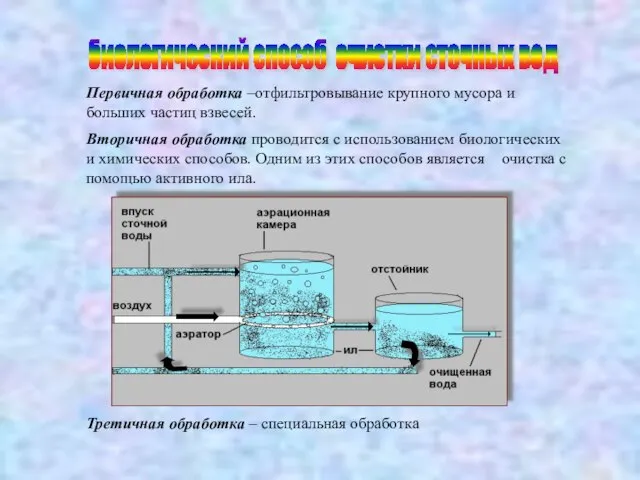 биологический способ очистки сточных вод