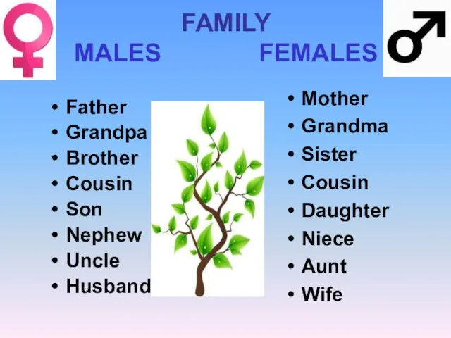 FAMILY MALES FEMALES Father Grandpa Brother Cousin Son Nephew Uncle Husband