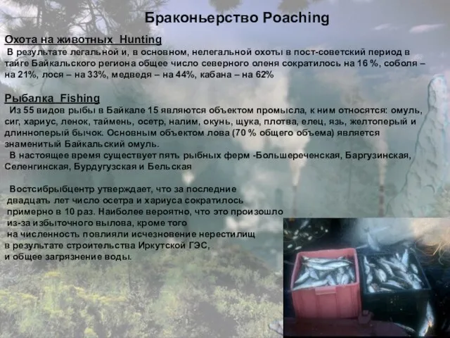 Браконьерство Poaching Охота на животных Hunting В результате легальной и, в