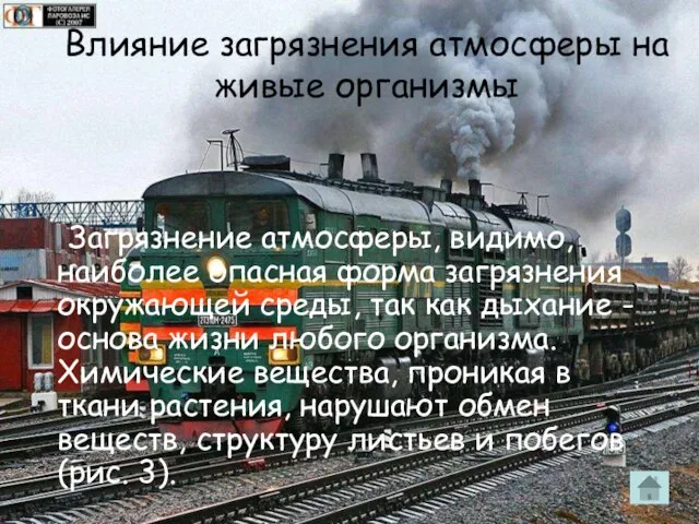 Влияние загрязнения атмосферы на живые организмы Загрязнение атмосферы, видимо, наиболее опасная