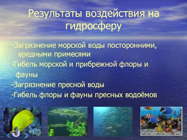 Результаты воздействия на гидросферу -Загрязнение морской воды посторонними, вредными примесями -Гибель