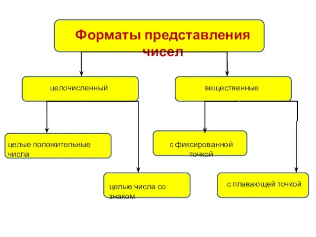 Форматы представления чисел целочисленный вещественные целые положительные числа целые числа со