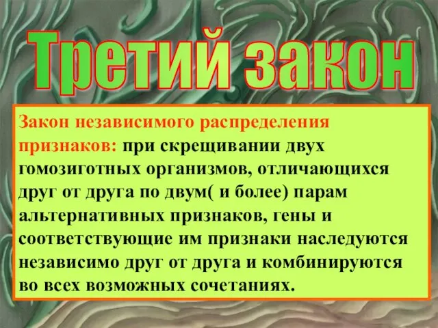 Третий закон Закон независимого распределения признаков: при скрещивании двух гомозиготных организмов,