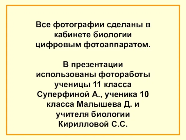 Все фотографии сделаны в кабинете биологии цифровым фотоаппаратом. В презентации использованы