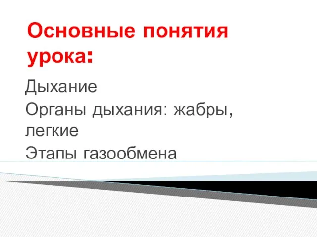 Основные понятия урока: Дыхание Органы дыхания: жабры, легкие Этапы газообмена