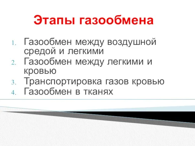 Этапы газообмена Газообмен между воздушной средой и легкими Газообмен между легкими